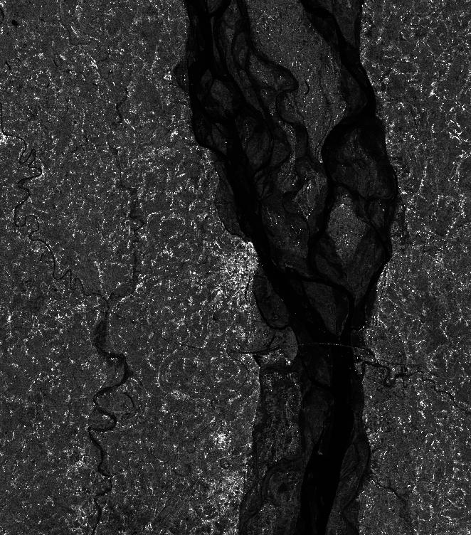 Satellite Imagery for Vegetation Degradation Detection