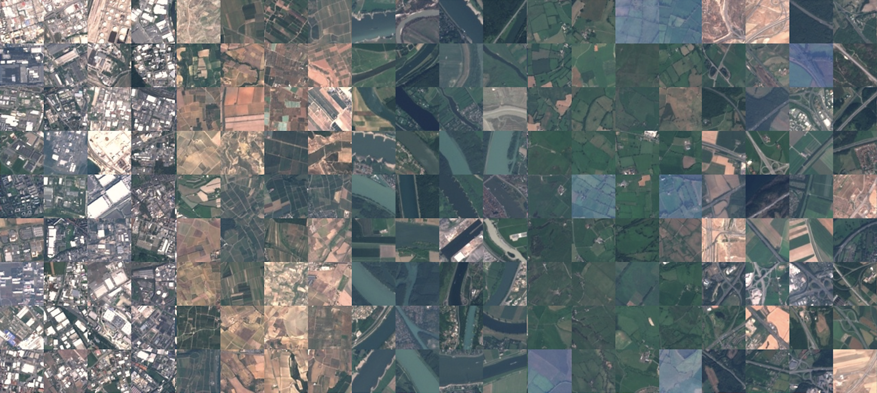 Detecting Vegetation Degradation with Satellite Imagery